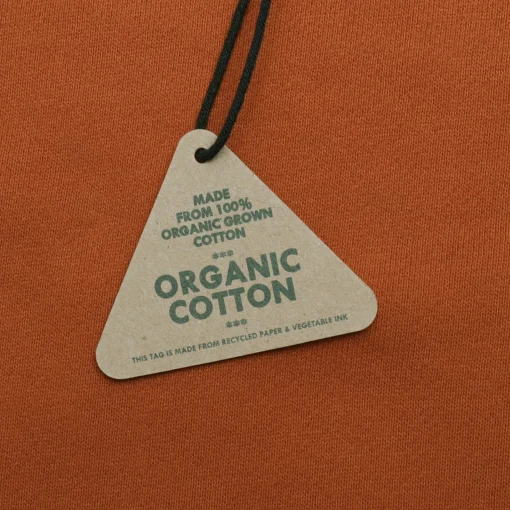 Pass~Port Organic Embroidery Hoodie - Burnt Orange